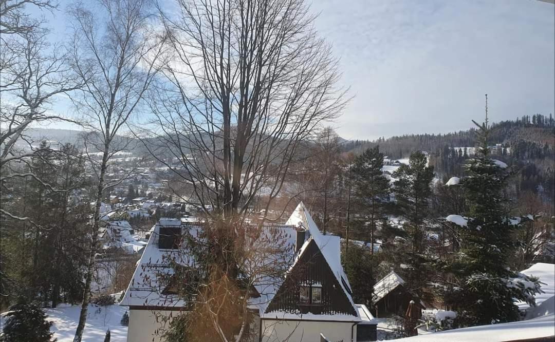 Pokoje Goscinne Angelika Wisla Bagian luar foto